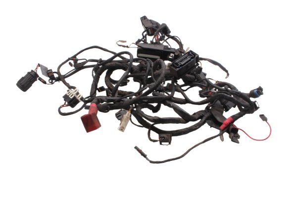 Mazo de cables, mazo de cables principal, fusible, relé BMW R 1200 GS K25 0307 R12 04-07