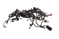 Mazo de cables, mazo de cables principal, fusible, relé BMW R 1200 GS K25 0307 R12 04-07