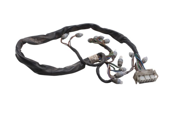 Wiring harness speedometer instrument lighting BMW R 1100 GS 259 0409 93-99