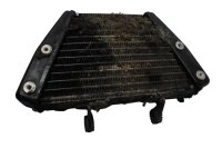 Aleta de refrigeración del enfriador de aceite, conexión por tornillo, soporte Ducati Monster 1200 S M600 14-16