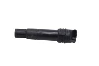 Sytytyspuola (yksi oikea) Sytytysmoduuli Sytytysjärjestelmä BMW R 1200 GS K25 0307 R12 04-07