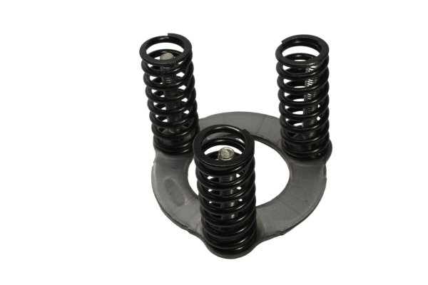 Clutch springs, clutch pressure plate 25609 Ducati Monster 1200 S M600 14-16