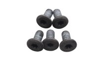 Skruer til bagbremseskive BMW R 1200 GS K25 0307 R12 04-07