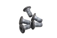 Skruer til bagbremseskive BMW R 1200 GS K25 0307 R12 04-07
