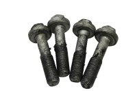Frame screw set front mounting antler Ducati Monster 1200 S M600 14-16