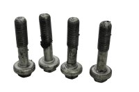 Frame screw set front mounting antler Ducati Monster 1200 S M600 14-16