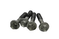 Frame screw set front mounting antler Ducati Monster 1200 S M600 14-16