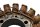 Allumage du stator de lalternateur Ducati Monster 1200 S M600 14-16