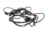Wiring harness, fuel injection system, fuse, relay,...