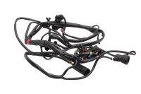 Cablaggio, sistema di iniezione del carburante, fusibile, relè, impianto elettrico, universale Ducati universell