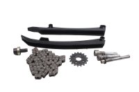 Timing chain kit, tensioner, chain guides, sprocket BMW R 1100 GS 259 0409 93-99