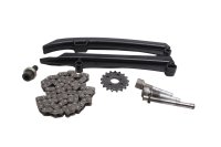 Timing chain kit, tensioner, chain guides, sprocket BMW R 1100 GS 259 0409 93-99