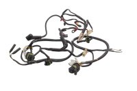 Cablaggio, cablaggio principale, connettori, impianto elettrico, cablaggio Ducati universell