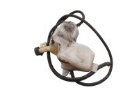 Koelvloeistof expansietank slang Honda XL 1000 V SD01 99-00