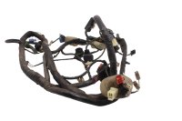 Kabelboom, hoofdkabelboom, elektrisch systeem, ontsteking Honda XL 1000 V SD01 99-00