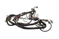 Kabelboom, hoofdkabelboom, elektrisch systeem, ontsteking Honda XL 1000 V SD01 99-00