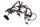 Kabelboom, hoofdkabelboom, elektrisch systeem, ontsteking Honda XL 1000 V SD01 99-00