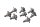 Vis couvre-culasse lot de 8 culasse KTM Super Moto 950 LC8 SM950 05-08