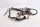 Hoofdkabelboom Zekeringkast KTM Super Moto 950 LC8 SM950 05-08