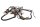 Hoofdkabelboom Zekeringkast KTM Super Moto 950 LC8 SM950 05-08