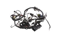 Motorcykelns huvudkabelhärva BMW G 650 Xcountry E65X 0164 K15 07-10