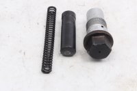 Tendicatena distribuzione destro idraulico testata BMW R 1150 R R28 0429 01-06