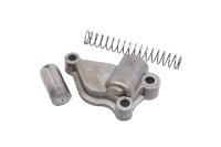Tendicatena distribuzione supporto pistoncino molla BMW R 1150 R R28 0429 01-06
