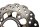 Disque frein arrière couronne ABS vis fixation Kawasaki ER-6N ER650A 05-08