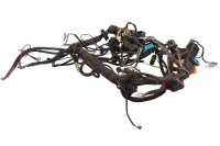 Cablaggio impianto elettrico principale scatola relè BMW R 1150 R R28 0429 01-06