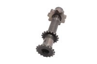 Albero intermedio rinvio pompa olio distribuzione BMW R 1150 R R28 0429 01-06