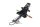 Portamatrículas trasero con intermitentes Yamaha YZF R7 Euro 5 RM39/RM40 22-25