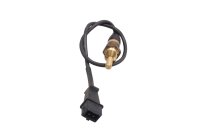 Sensore temperatura olio bulbo motore cavo spinotto BMW R 1150 R R28 0429 01-06