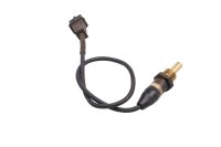 Sensore temperatura olio bulbo motore cavo spinotto BMW R 1150 R R28 0429 01-06