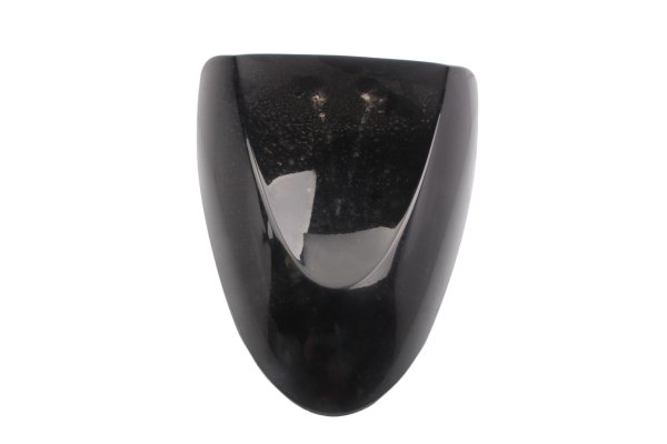 Parafango anteriore paraspruzzi copertura becco BMW R 1150 R R28 0429 01-06
