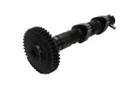 Arbre à cames pignon engrenage distribution moteur Suzuki TL 1000 S AG 97-01