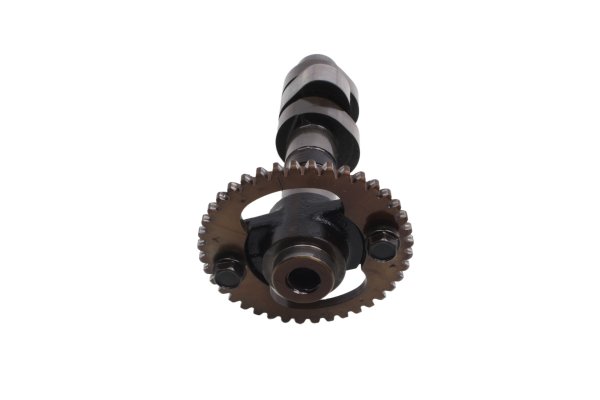 Arbre à cames avec pignon et support avant Honda XRV 750 Africa Twin RD07 93-03