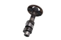 Arbre à cames avec pignon et support avant Honda XRV 750 Africa Twin RD07 93-03