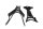 License plate holder tail tidy rear fender cover bracket Honda CBR 650 RA 26-26