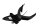 Support plaque garde-boue catadioptre éclairage arrière Honda CBR 600 RRA 26-26