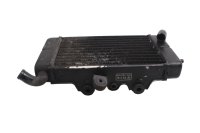 Radiatore raffreddamento sinistro anteriore Honda XRV 750 Africa Twin RD07 93-03