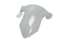 Cupolino parabrezza trasparente anteriore BMW S 1000 RR Euro 4/5 K67 0E21 19-22