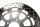 Disco freno anteriore Sunstar flottante forato ruota Suzuki TL 1000 S AG 97-01