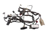 Mazo de cables instalación caja fusibles Honda XRV 750 Africa Twin RD07 93-03