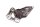Supporto pedana poggiapiedi anteriore sinistra Suzuki SV 1000 S WVBX 03-07