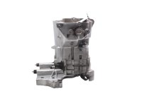 Cambio 5 marce trasmissione argento ZF 4190025290 BMW R 1100 GS 259 0409 93-99
