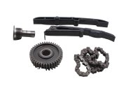 Catena distribuzione pattini ingranaggio posteriore Suzuki SV 1000 S WVBX 03-07