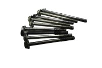Kit viteria bulloni dadi rondelle fermacavi motore Suzuki TL 1000 S AG 97-01