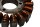 Stator generator dynamo lysmaskine pickup impulsgiver Suzuki SV 650 S WVBY 03-06