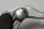 Bremsepumpe hovedcylinder håndtag beholder for højre Suzuki SV 650 S WVBY 03-06