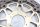 Discos de freno par delanteros izquierdo derecho Honda XL 1000 V SD01 99-00
